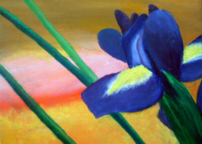 "Iris" oil 2008 / 30x24 cm / sold for 200 €