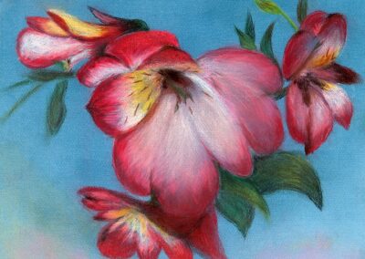 "Inkaliilia" pastell 2010 / 40x32 cm