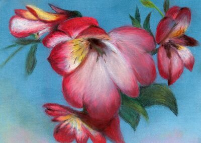 "Alstroemeria" pastel 2010 / 40x32 cm