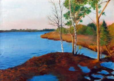 "Loosalu raba" õli 2014 / 40x30 cm