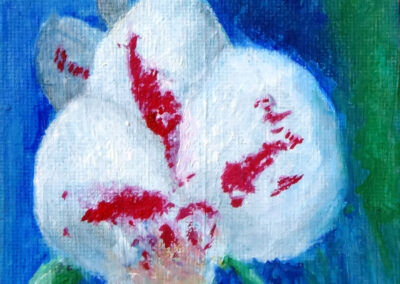 "Orhidee" õli 2016 / 10x15 cm