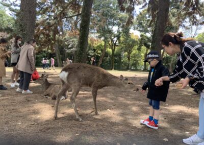 Lucas gives a deer a cracker.